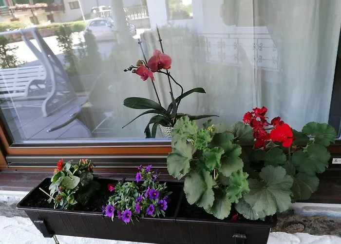 Enzian 2 - O Sole Mio Apartment Bad Kleinkirchheim